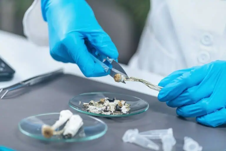 Pre Sales Meth Screening