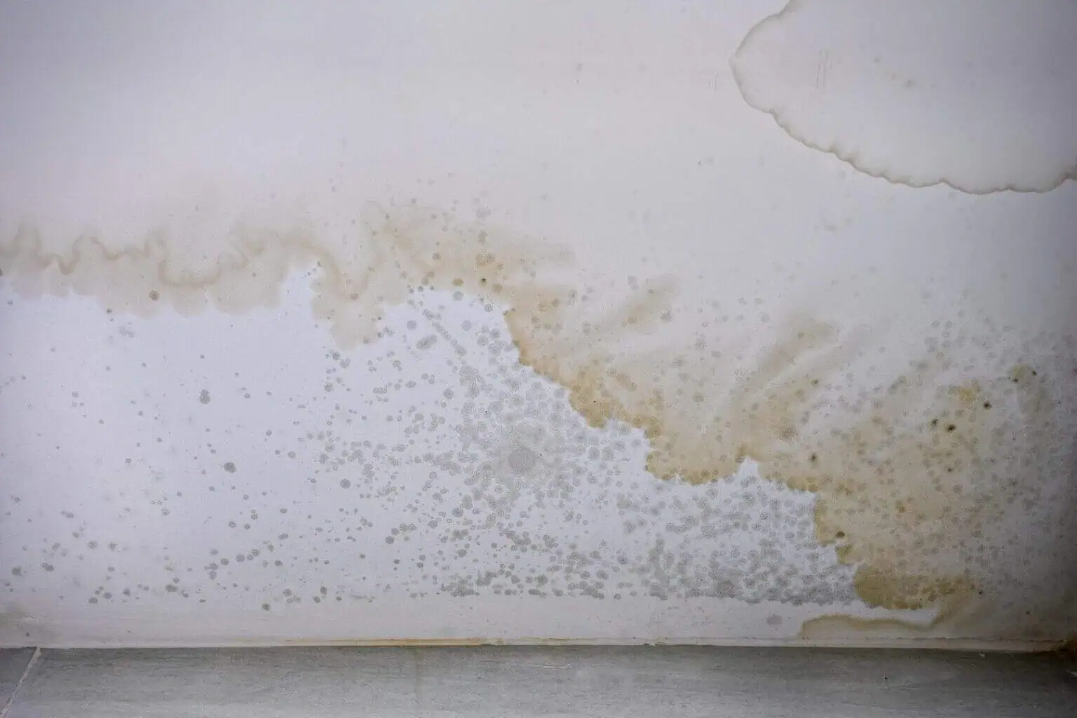 Mould-Stains-On-The-Ceiling