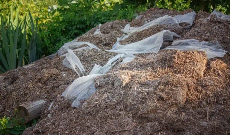 Mulch-Testing-For-Asbestos-In-Australia